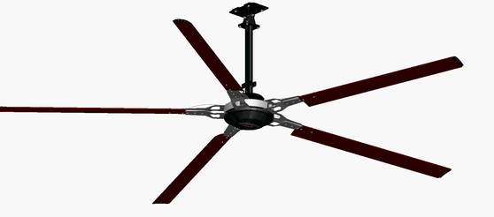 Softwave 5 Blade rotating